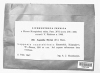 Image Associated With the Occurence